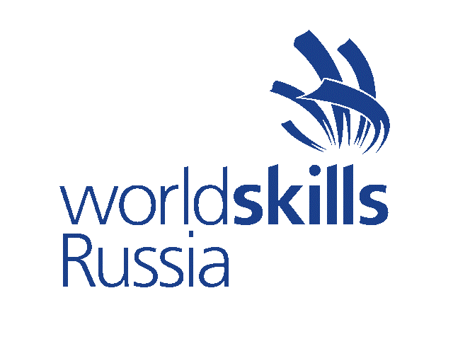 worldskils 3