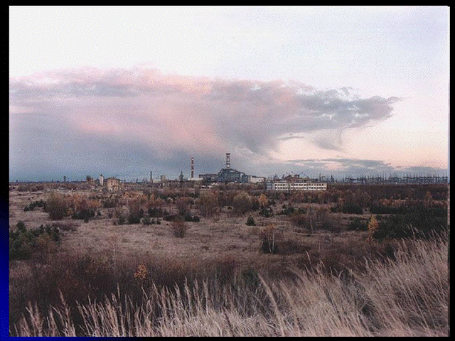 2689d22bdf6b0bac6cf64dbd9cc3f8f6