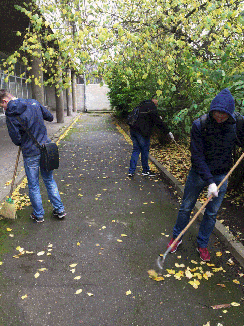 IMG 7436-09-10-17-05-52