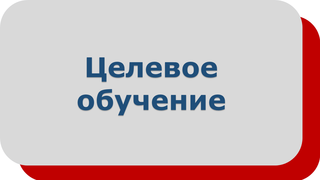 Целевое обучение
