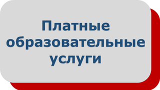 Платные образовательные услуги