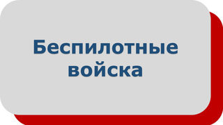 Войска беспилотных систем РФ