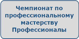Чемпионат по профессиональному мастерству Профессионалы