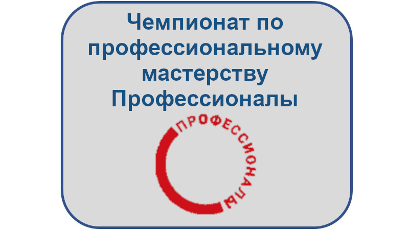 чемпионат по профессиональному мастерству профессионалы
